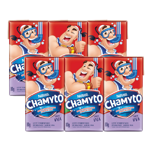 LEITE FERMENTADO CHAMYTO SABORES TP 480G